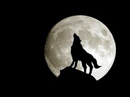 moon and wolf