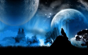  wolf Hintergrund