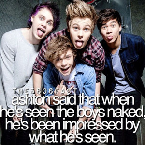                5Sos Facts