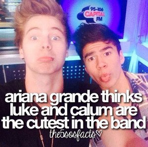                5Sos facts