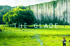  The Glade