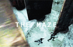 The Maze