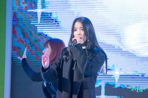  141227 아이유 performing at the Chamisul Soju Festival