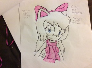  Cindy the hedgehog (comment)