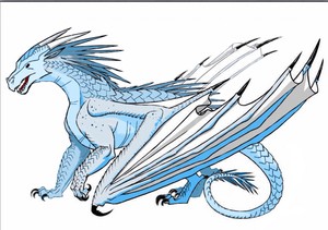  Colored icewing