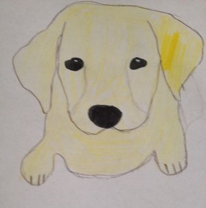  Drawing of a anjing, anak anjing