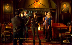  Elena and Katherine achtergrond