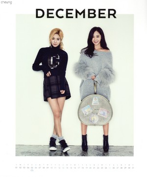 Hyeoyon and Yuri (SNSD) - 2015 Calendar