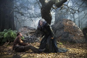  Into the Woods (2014)