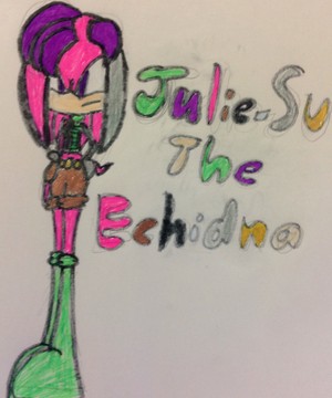  Julie-Su the Echidna - Sonic Boom style