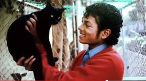  MJ with Cat :D LOL!!
