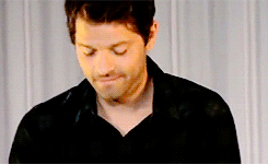  Misha's কুকুরছানা Eyes