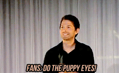  Misha's 子犬 Eyes