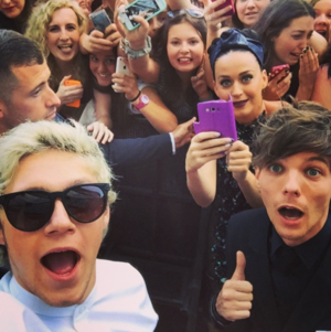  Nialler Louis and Katy Perry