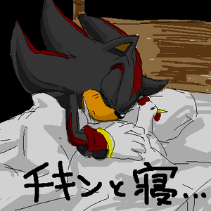 Shadow sleeps with a chicken