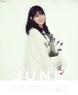  Sooyoung (SNSD) - 2015 Calendar