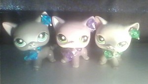  THESE ARE THE CRYSTAL 猫 !! SO CUTE