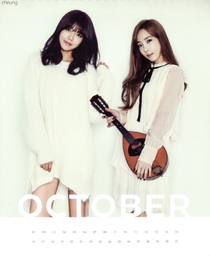  Taeyeon and Sooyoung (SNSD) - 2015 Calendar