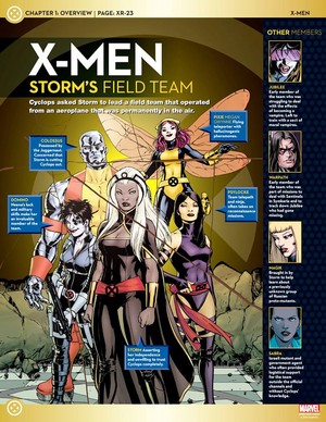 X-men Team Line-Up: Storm's Field Team