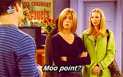  I'ts all a Moo Point!