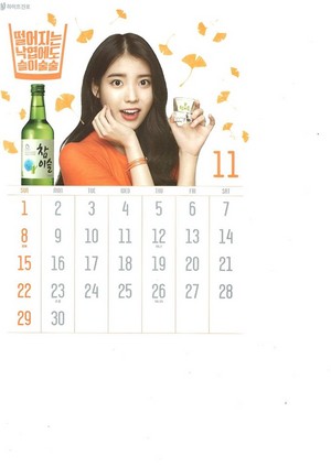  [SCANS] IU（アイユー） Chamisul Soju 2015 Calendar.