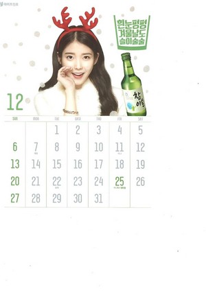  [SCANS] 李知恩 Chamisul Soju 2015 Calendar.