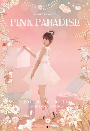  Apink 1st concierto rosado, rosa Paradise