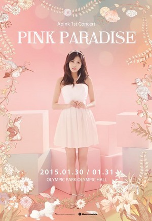  Apink 1st konzert rosa Paradise