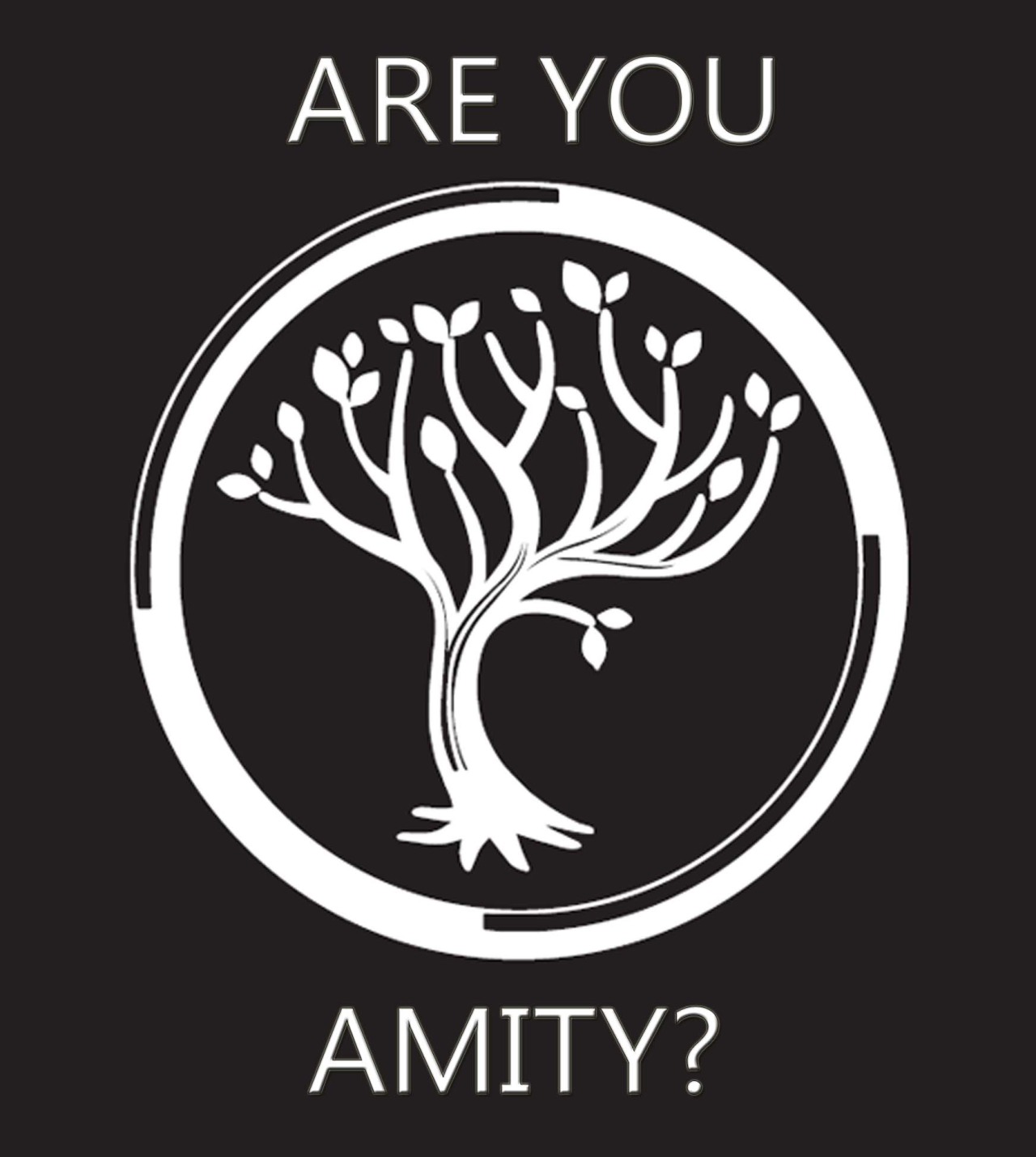 Are you Amity?
