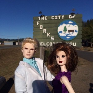  Carlisle and Esme dolls in Forks