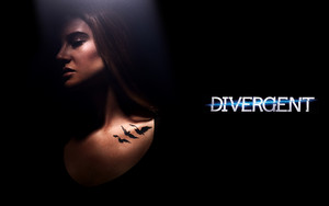  Divergent!!!!!!!