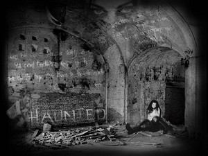  Evanescence - haunted