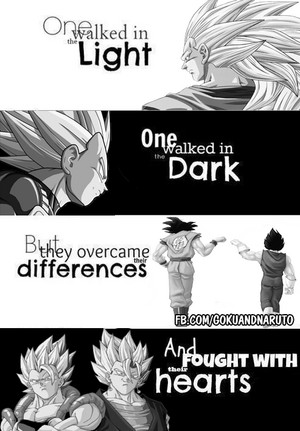  Goku and Vegeta