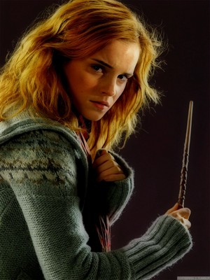  Hermione Granger-Deathly Hallows