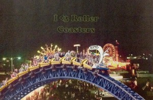 I <3 Roller Coasters!