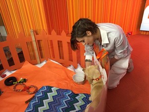  Kristen with the TODAY 表示する 子犬 in training,Wrangler