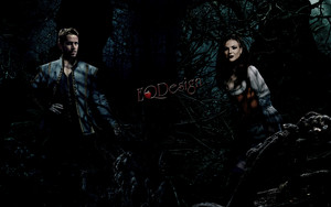 Outlaw Queen Into The Woods