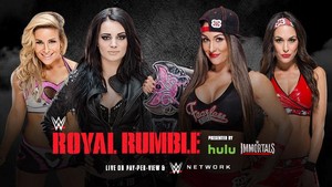  Royal Rumble - Paige and Natalya vs Bella Twins