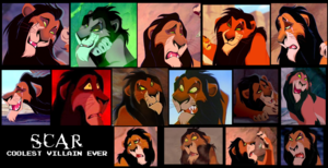  Scar collage