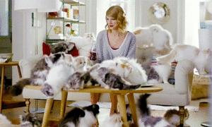 Taylor and Cats 