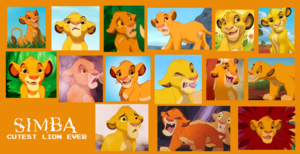  young Simba collage
