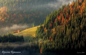  Apuseni mountains Carpathians Romania