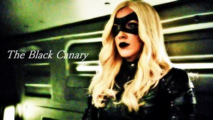 Black Canary