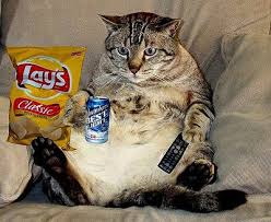  диван, мягкий уголок Potato Cat