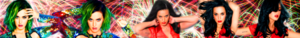  Katy Perry Banner