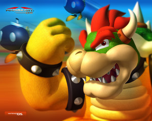  Mario Kart DS Hintergrund