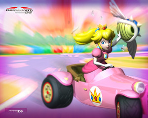  Mario Kart DS fondo de pantalla