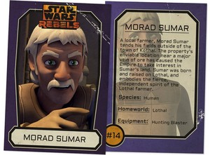  Morad Sumar Trading Card