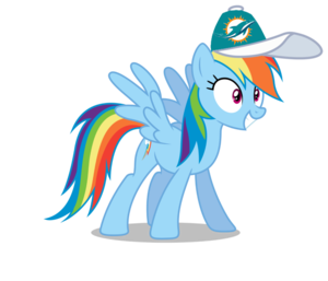  arco iris Dash wearing a Miami Dolphins gorra, cap