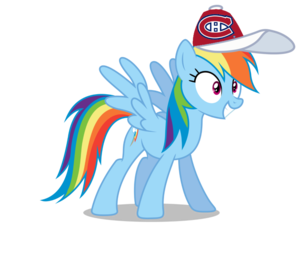  regenboog Dash wearing a Montreal Canadiens pet, glb